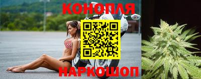 гашик Апшеронск