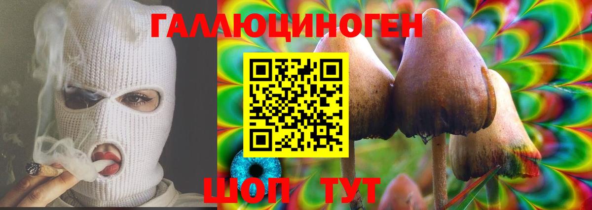 Псилоцибиновые грибы GOLDEN TEACHER Мирный